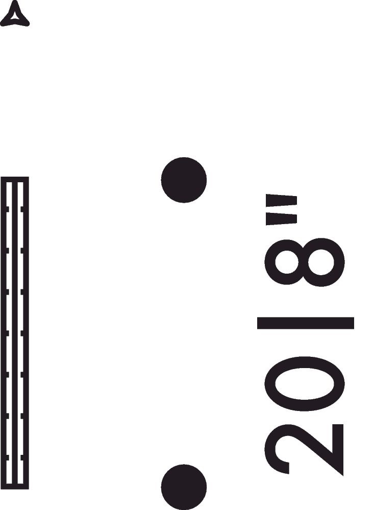 Architect's ScaleArtek, architect's scale - schaallat - 20cm