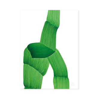 VDM Poster - GreenVDM Poster - Green