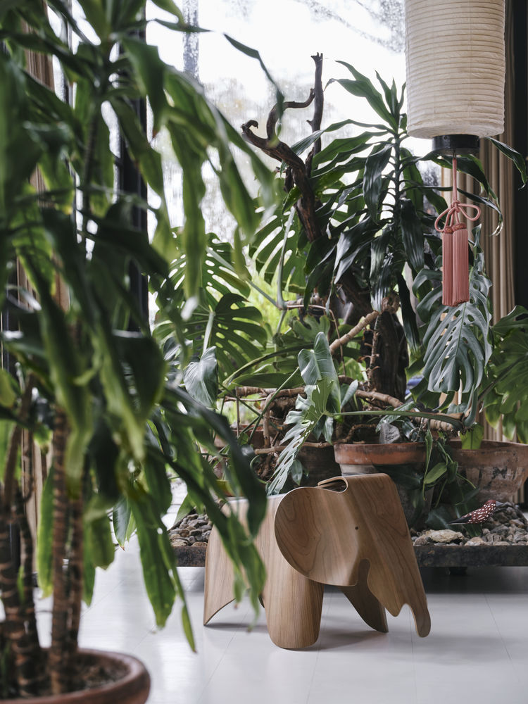 Eames Elephant (Plywood)Eames Elephant (Plywood) walnoot naturel